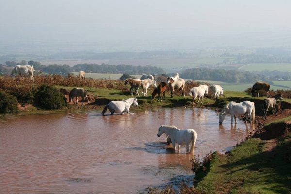 ab51616b-ff28-45ca-b30e-1f60783b490e (2)